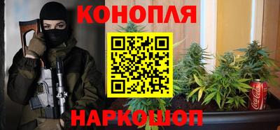 шишки Партизанск