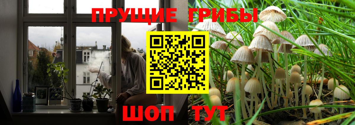 Галлюциногенные грибы Magic Shrooms  Вход с VPN  купить наркотик  Псилоцибиновые грибы MAGIC MUSHROOMS  Тимашёвск 