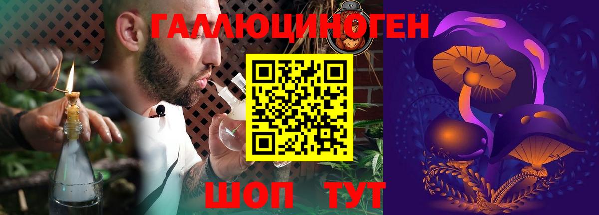 Псилоцибиновые грибы Cubensis Тимашёвск
